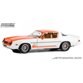 CHEVROLET CAMARO Z28 1979 "CASCADE EDITION - OREGON AND WASHINGTON - DEALERSHIP GRAPHICS PACKAGE" Die-cast 