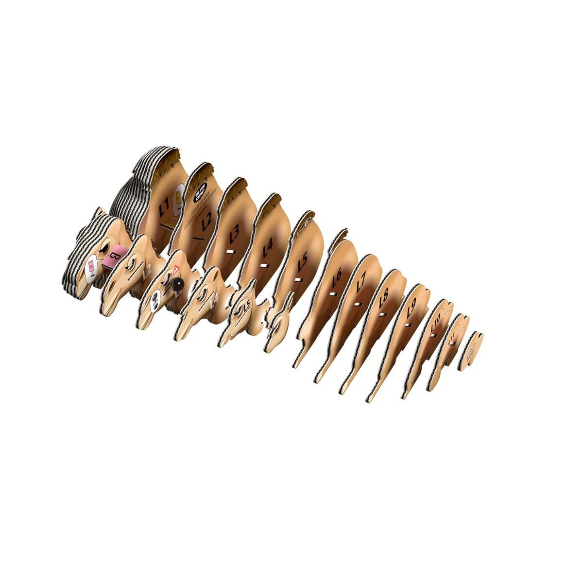 Eugy 3D Model: WILD ANIMAL / CAMEL 9.3x4.1x5.3cm, cardboard, boxed, 6+